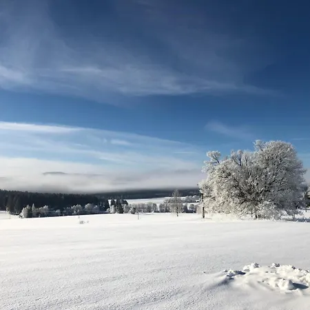 Fontána Dependance Lipno * Frymburk